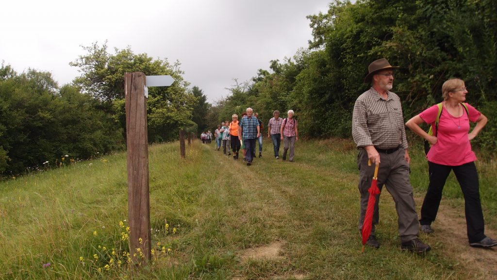 geführte Wanderung am 24.7.2016